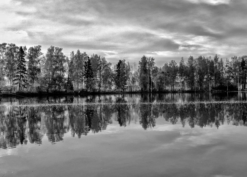 Фотография автора Дмитрий Чуфаров