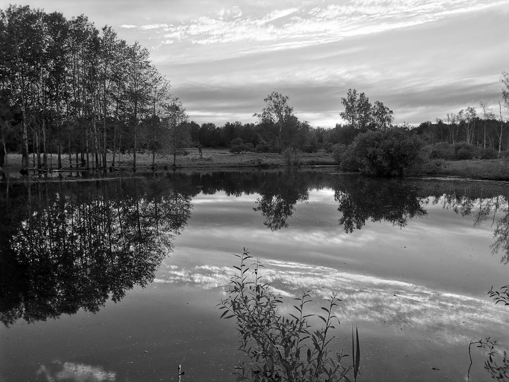 Photograph by Елена Павлова