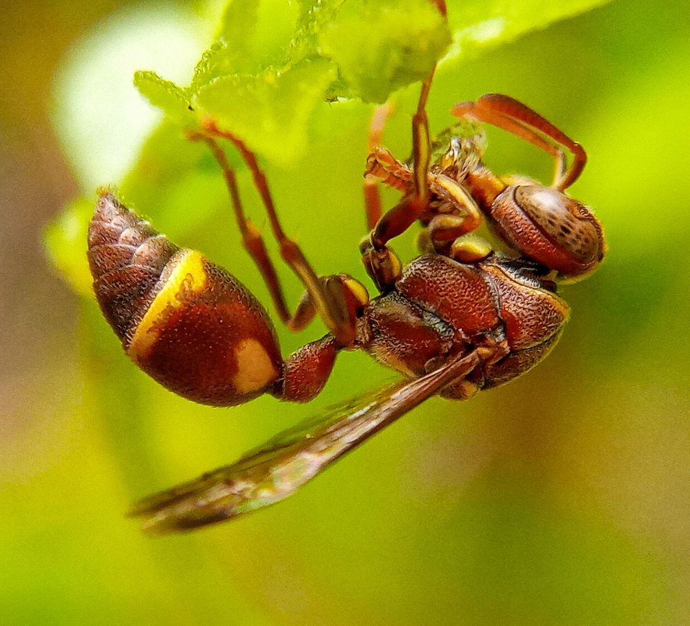 Photograph by Steen Sebastian