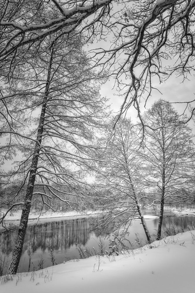 Photograph by Ольга Томилова