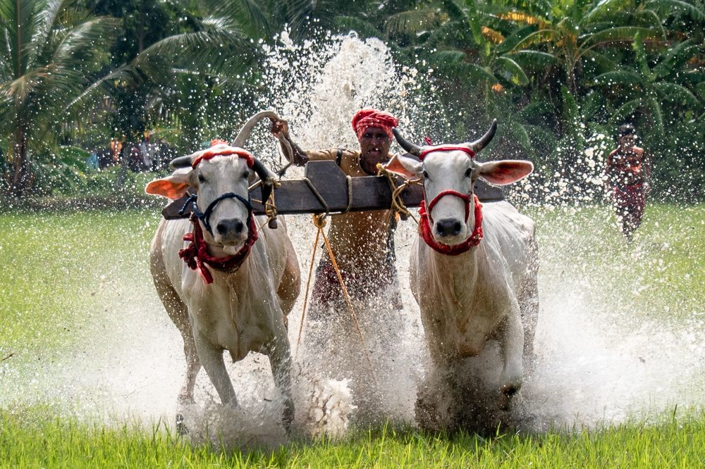 Фотография автора Pradeepta Kumar Ghose