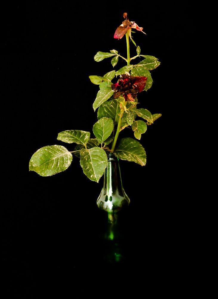 Photograph by Mohamed Kaouche