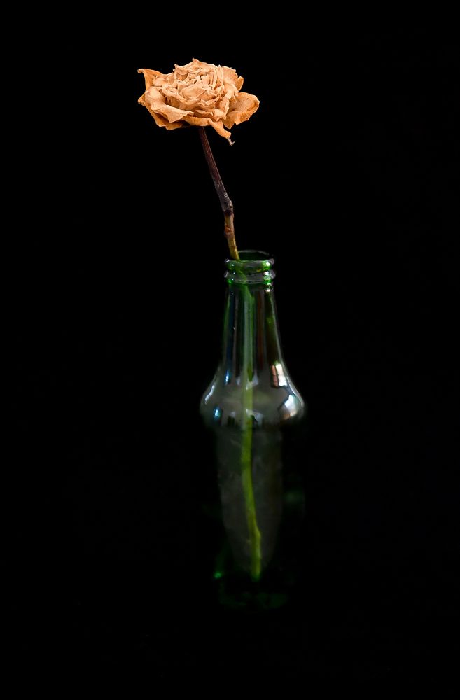 Photograph by Mohamed Kaouche