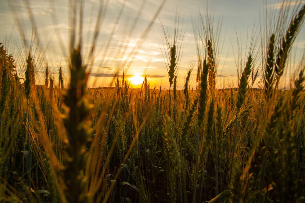 Photograph by Андрей Ковалев