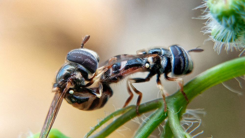 Photograph by Steen Sebastian