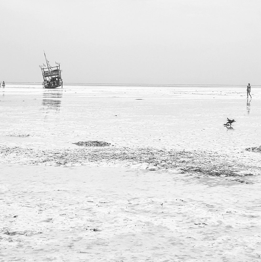 Фотография автора Larisa Tabachnik