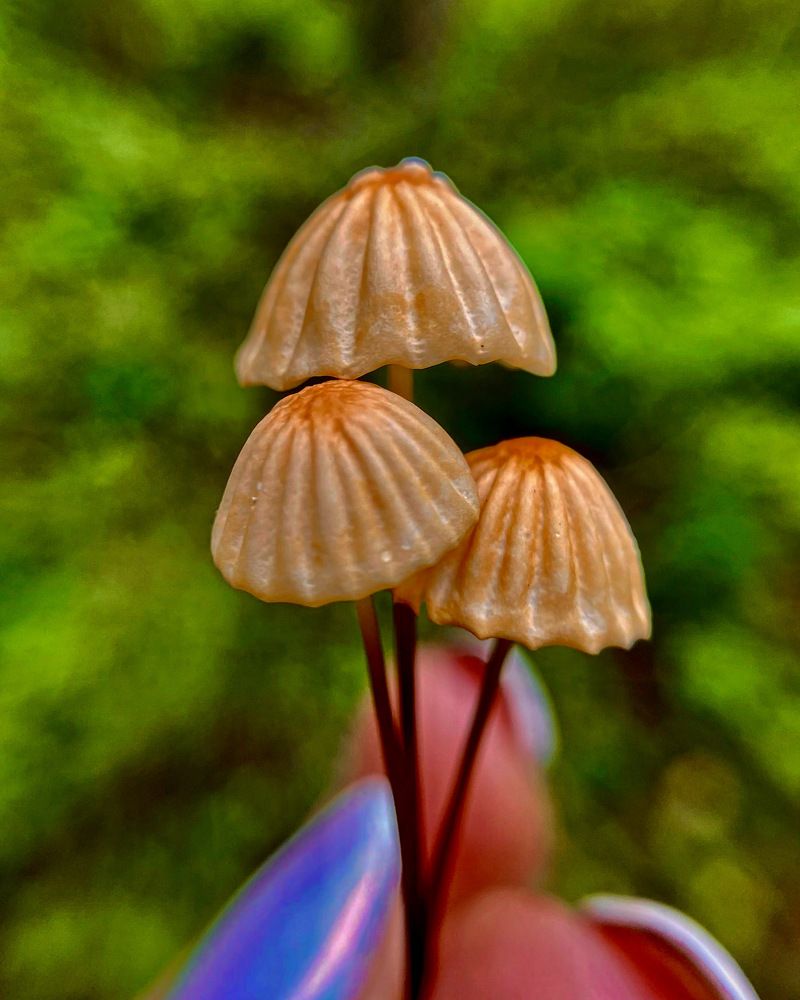 Photograph by Екатерина