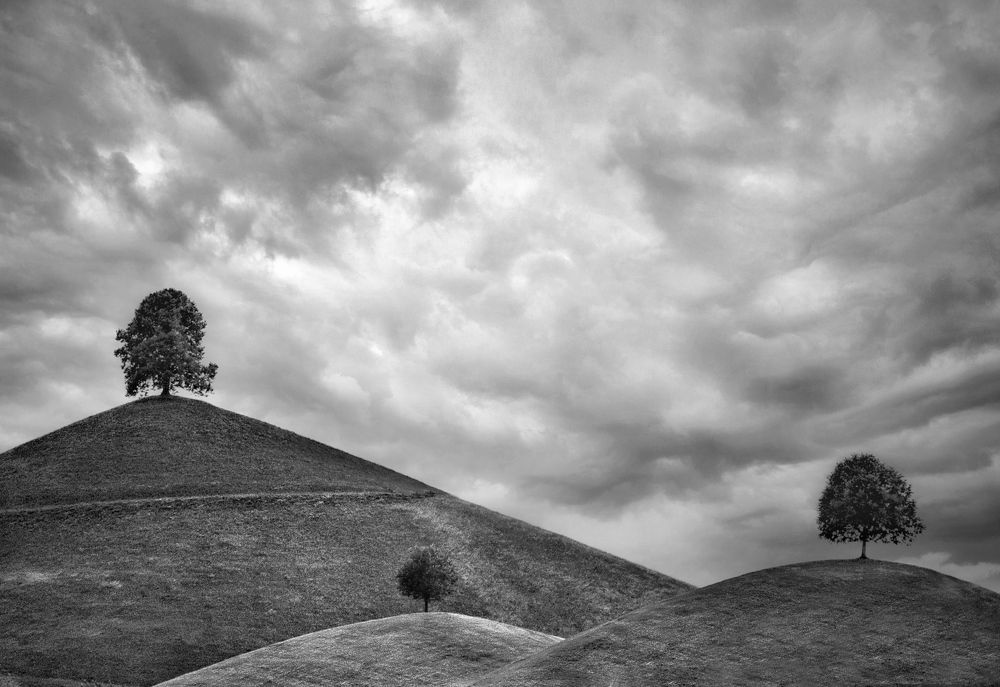 Photograph by Малика Маткарим