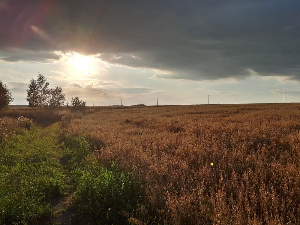 Photograph by Андрей Ковалев