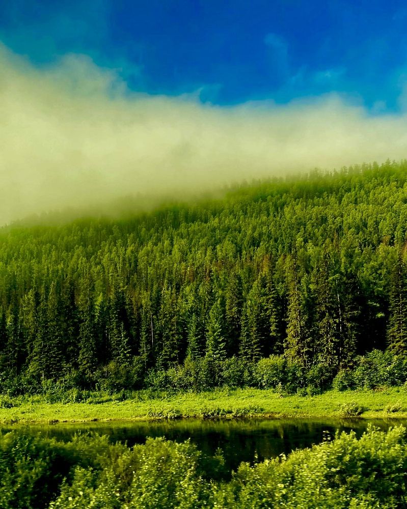 Photograph by Екатерина