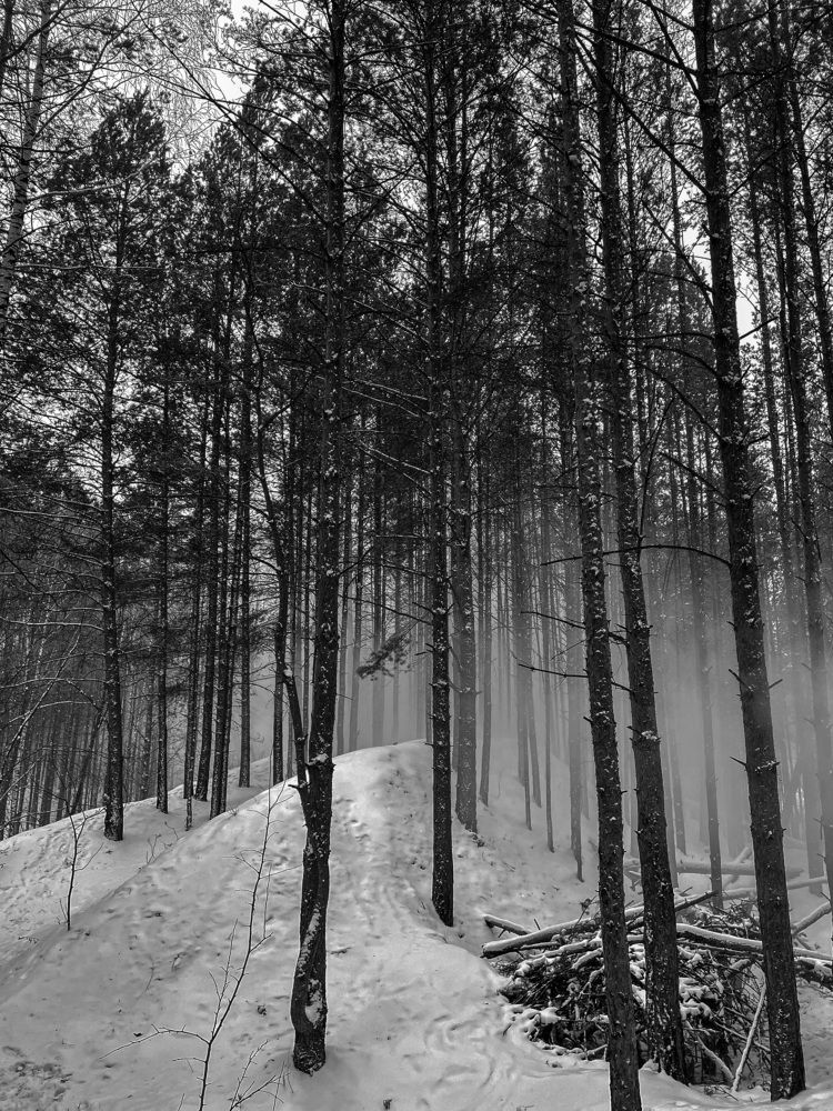 Photograph by Ксения Григорьева