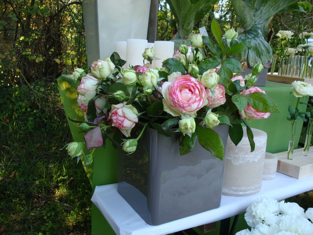 Фотография автора Liliana C.