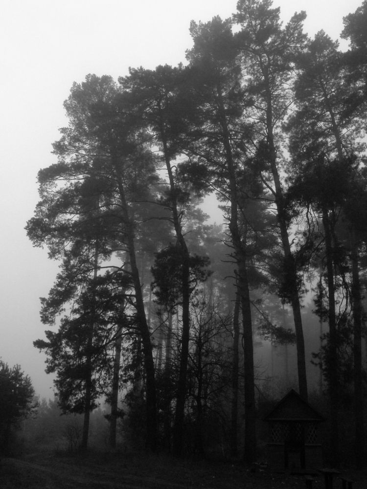 Утро туманное....