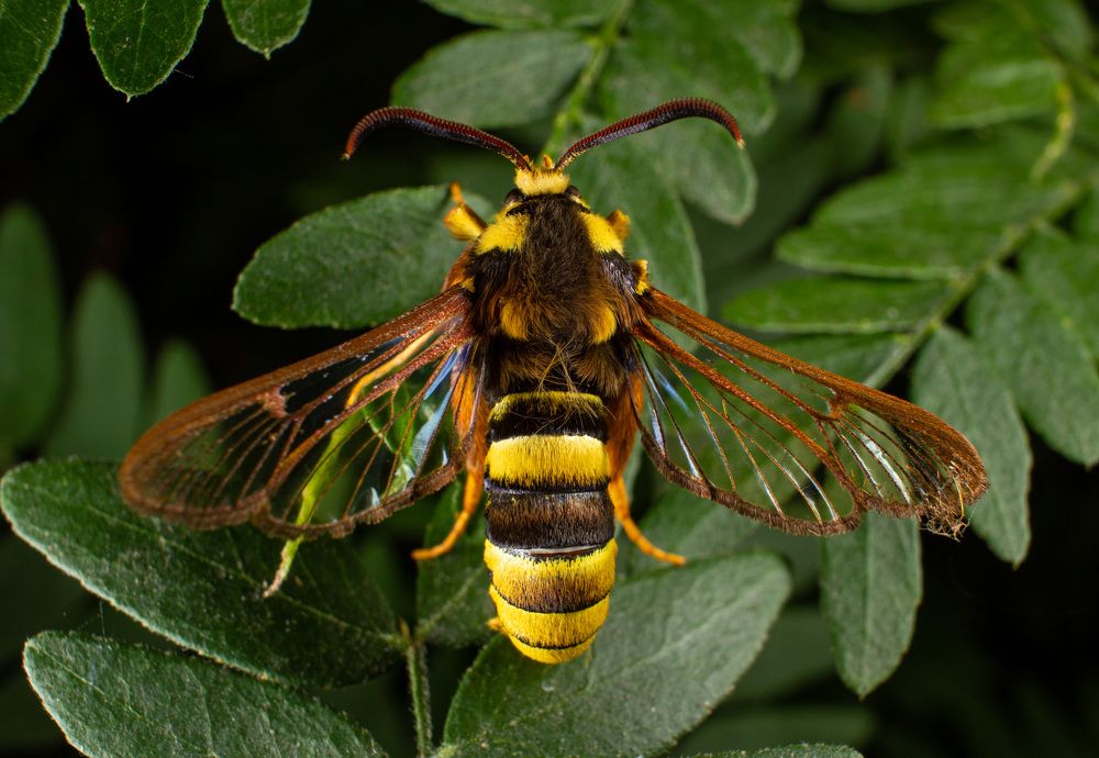 Photograph by Екатерина