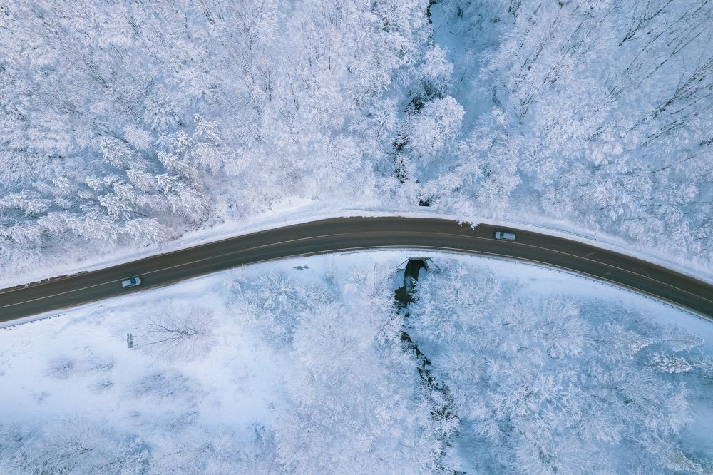 Photograph by Антон Литвинцев