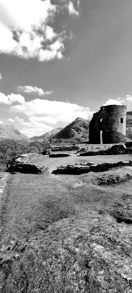 Фотография автора Elvira Cutler