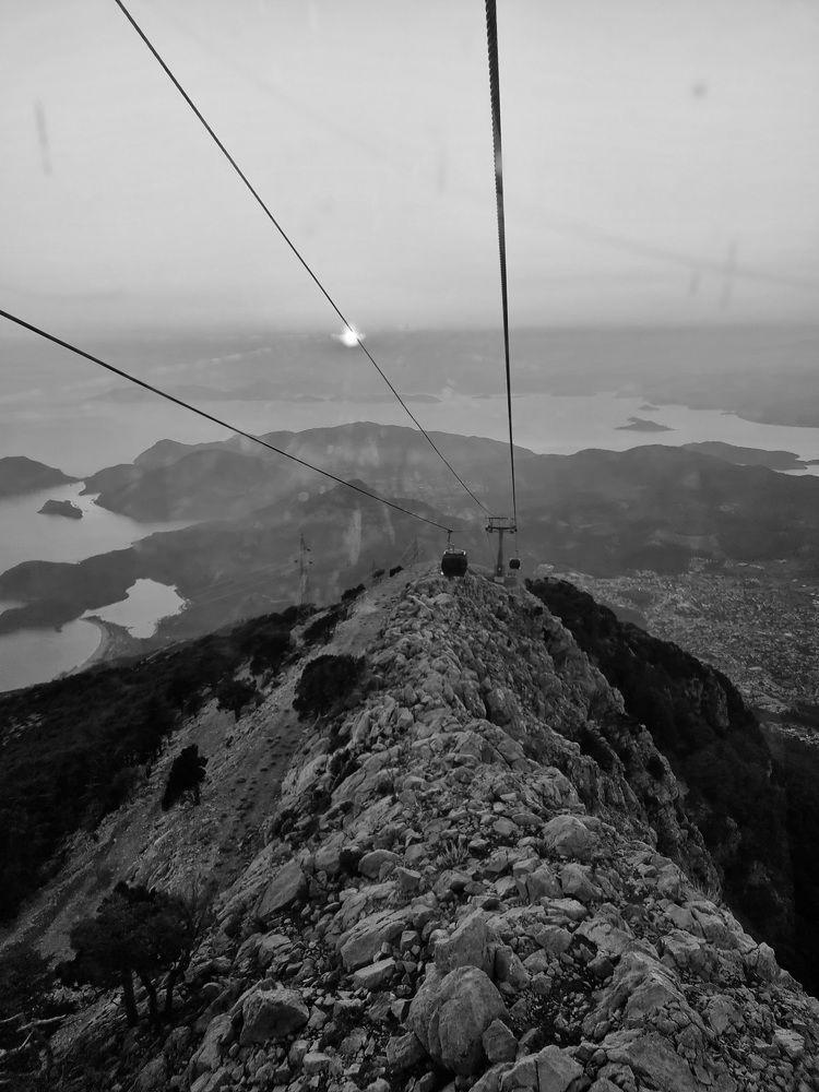 Фотография автора Elvira Cutler