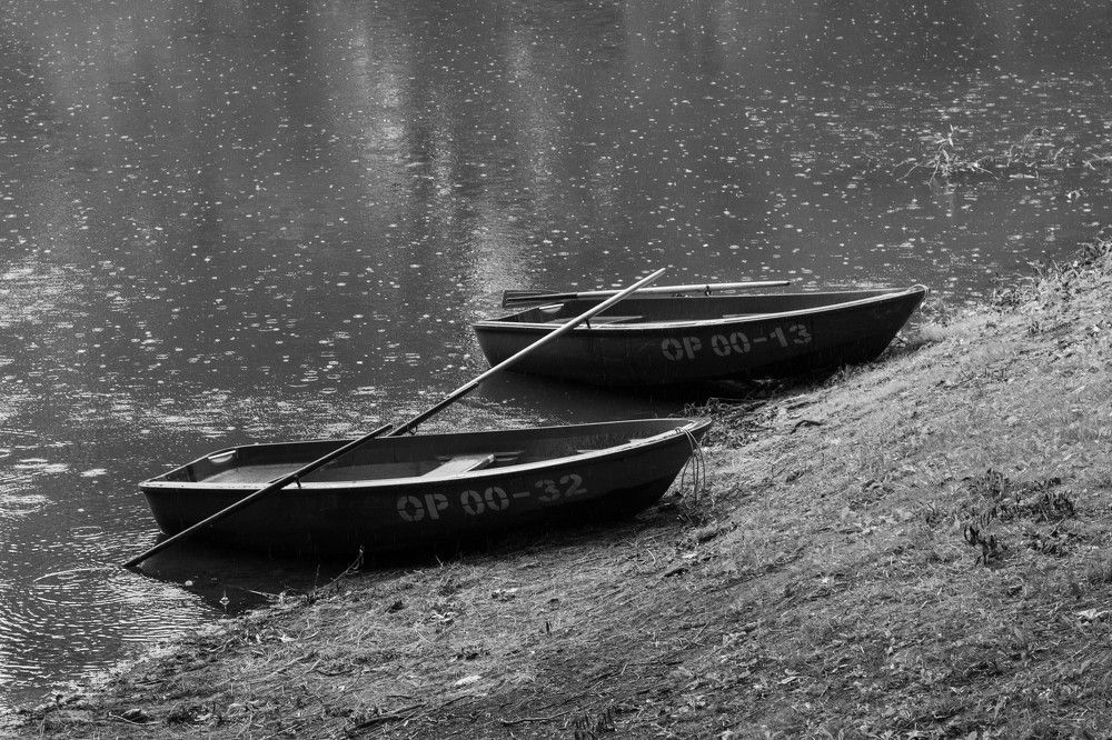 Фотография автора Алексей Тимофеев