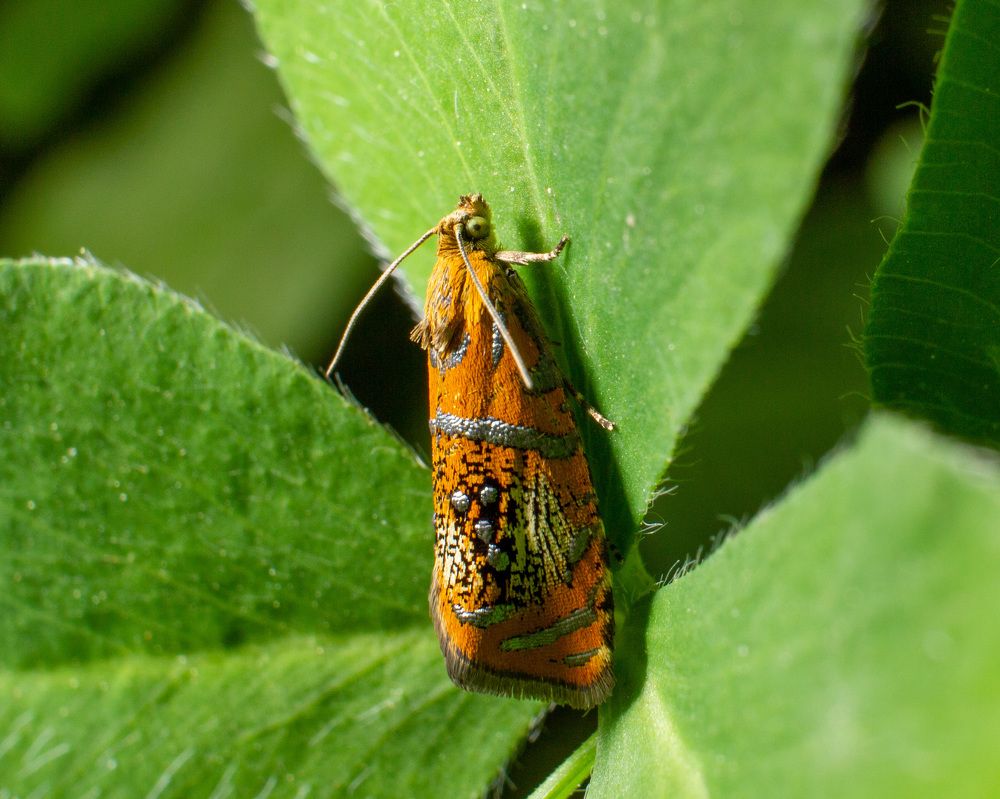 Photograph by Екатерина