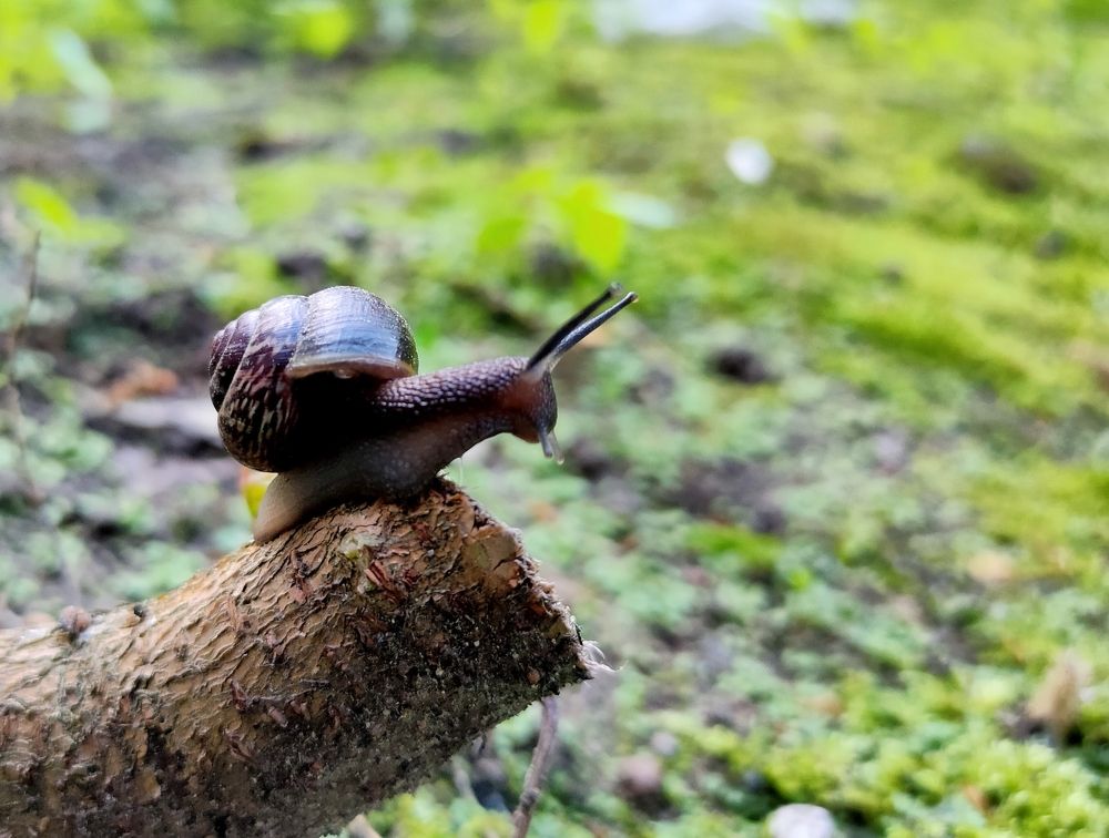 Так лучше видно