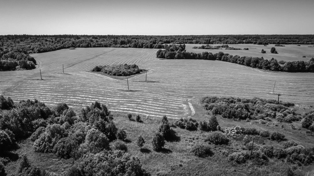 Photograph by Ольга Сафронова