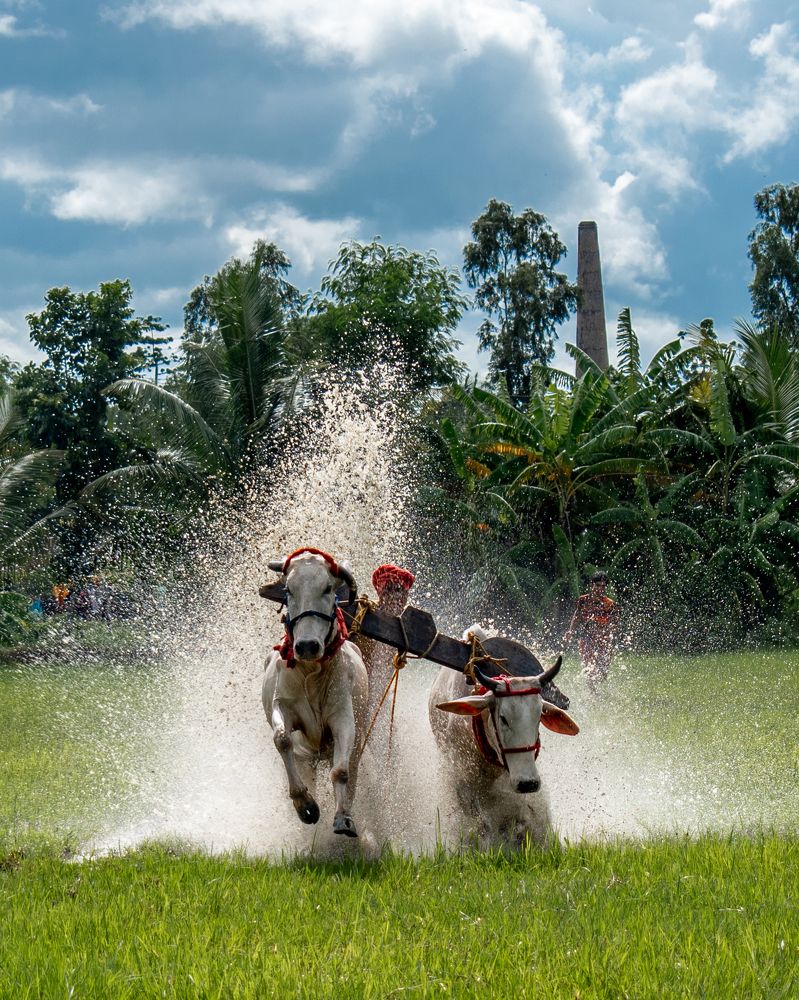 Фотография автора Pradeepta Kumar Ghose