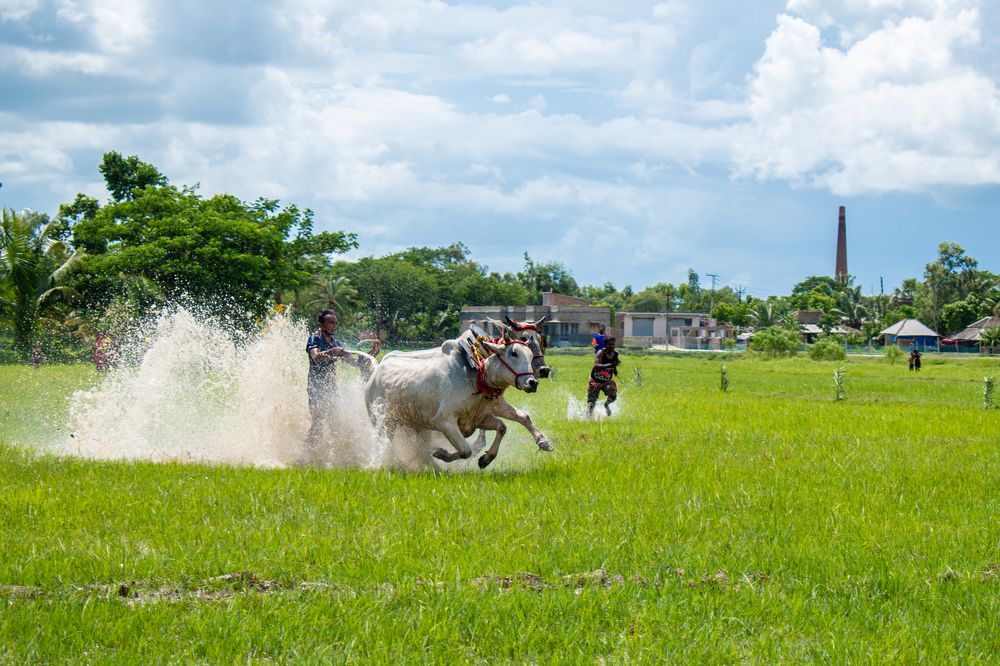 Фотография автора Pradeepta Kumar Ghose