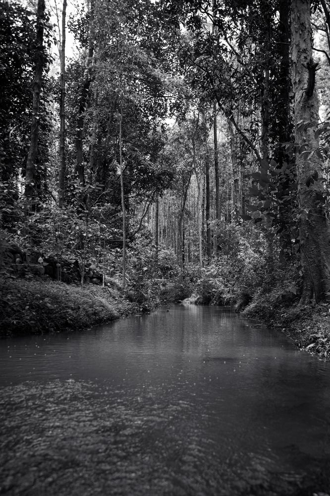 Photograph by Vivek Sundaram