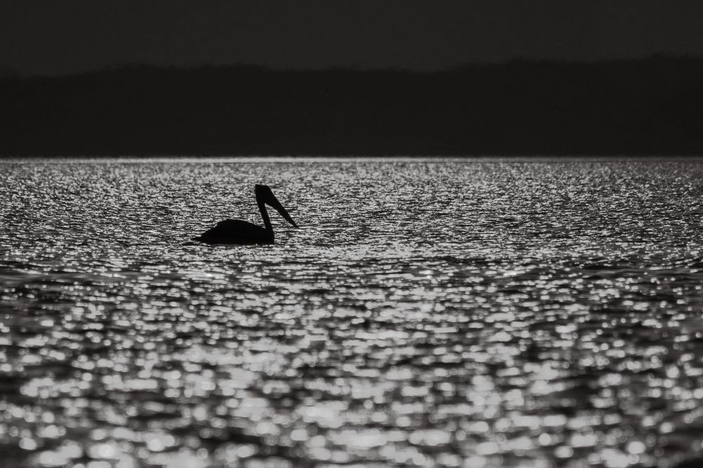 Photograph by Vivek Sundaram