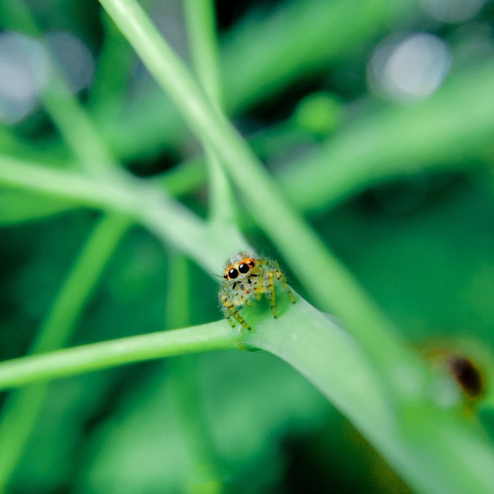 Photograph by Nikhila R