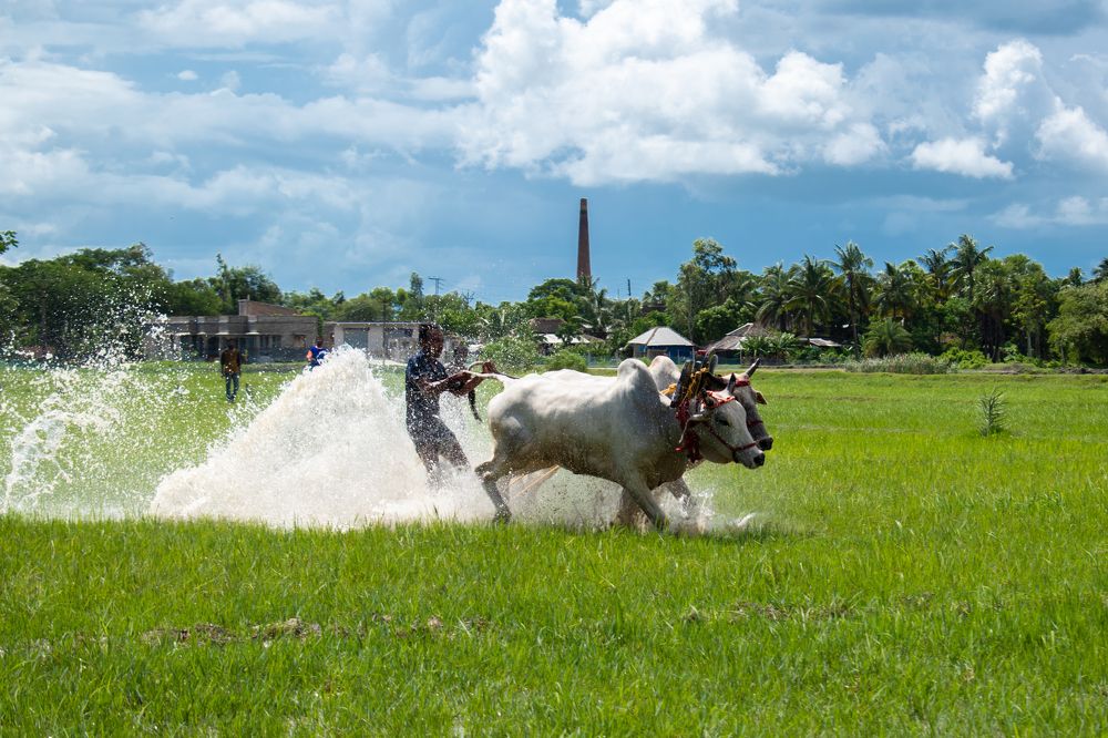 Фотография автора Pradeepta Kumar Ghose
