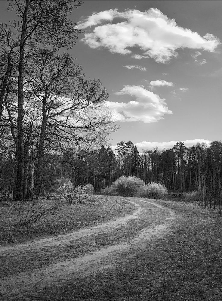 Photograph by Ольга Томилова