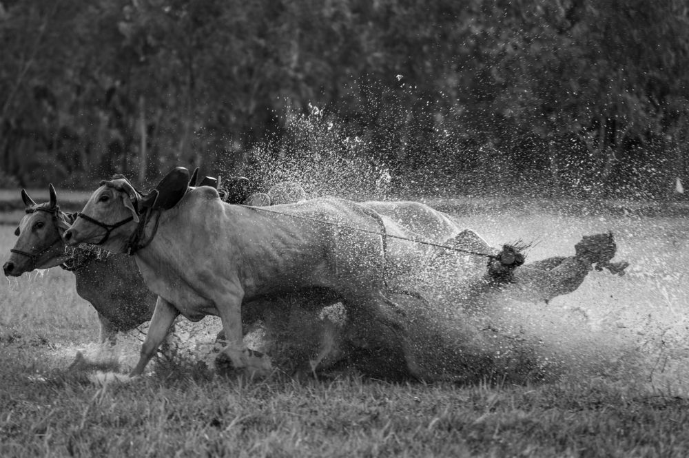 Photograph by Sharad Mansharamani