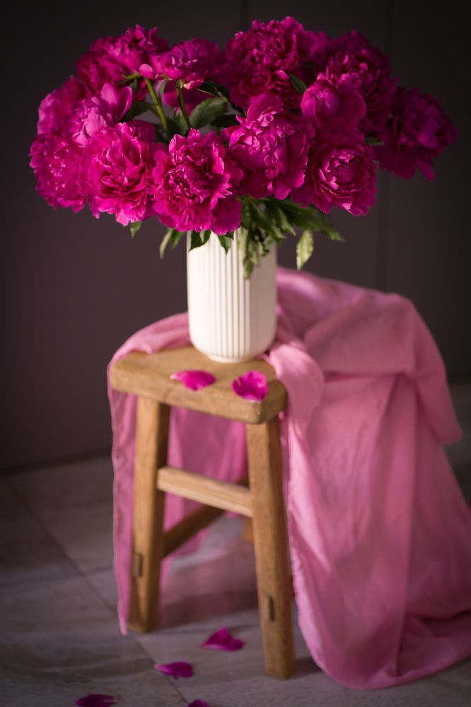 Photograph by Татьяна Дмитриева