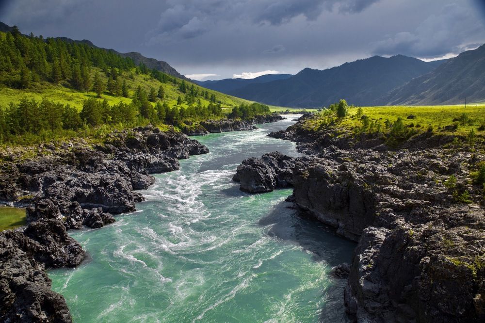 Photograph by Светлана