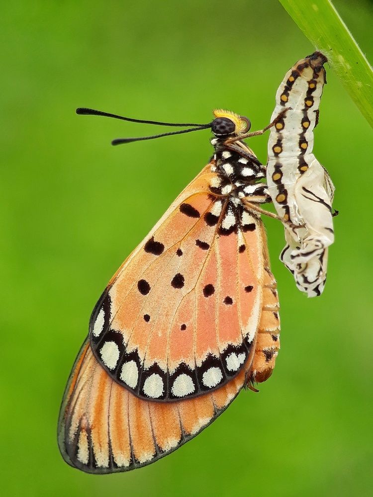 Photograph by Sandi nopriyanto