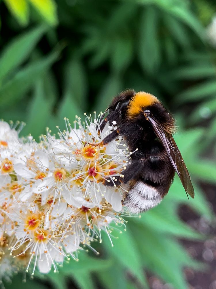 Photograph by Светлана