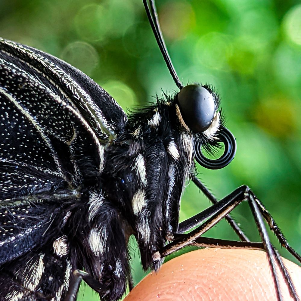 Photograph by Vaishnav K V