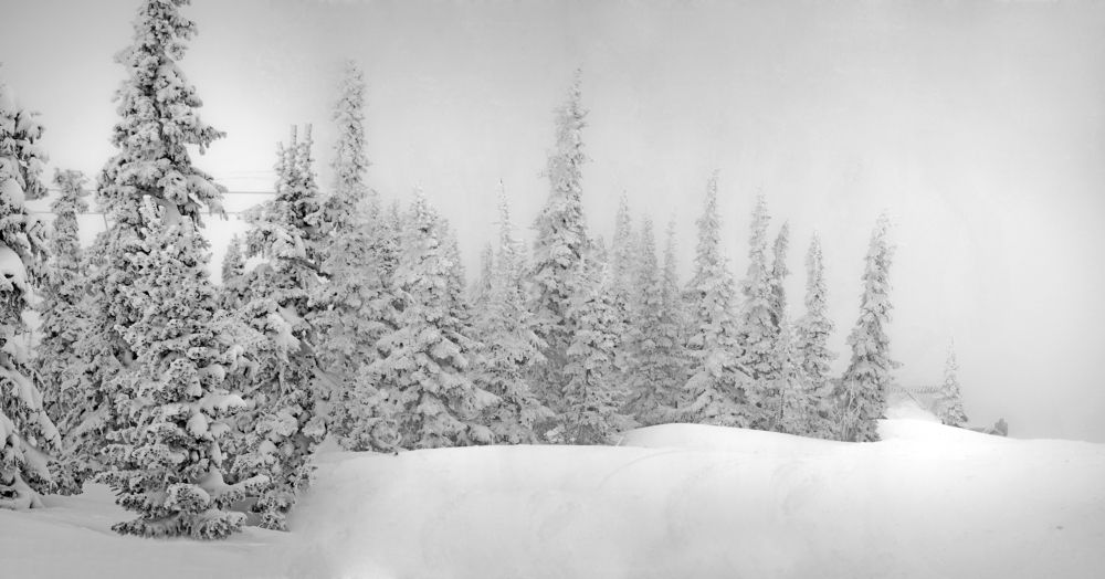 Photograph by Олег Якуба