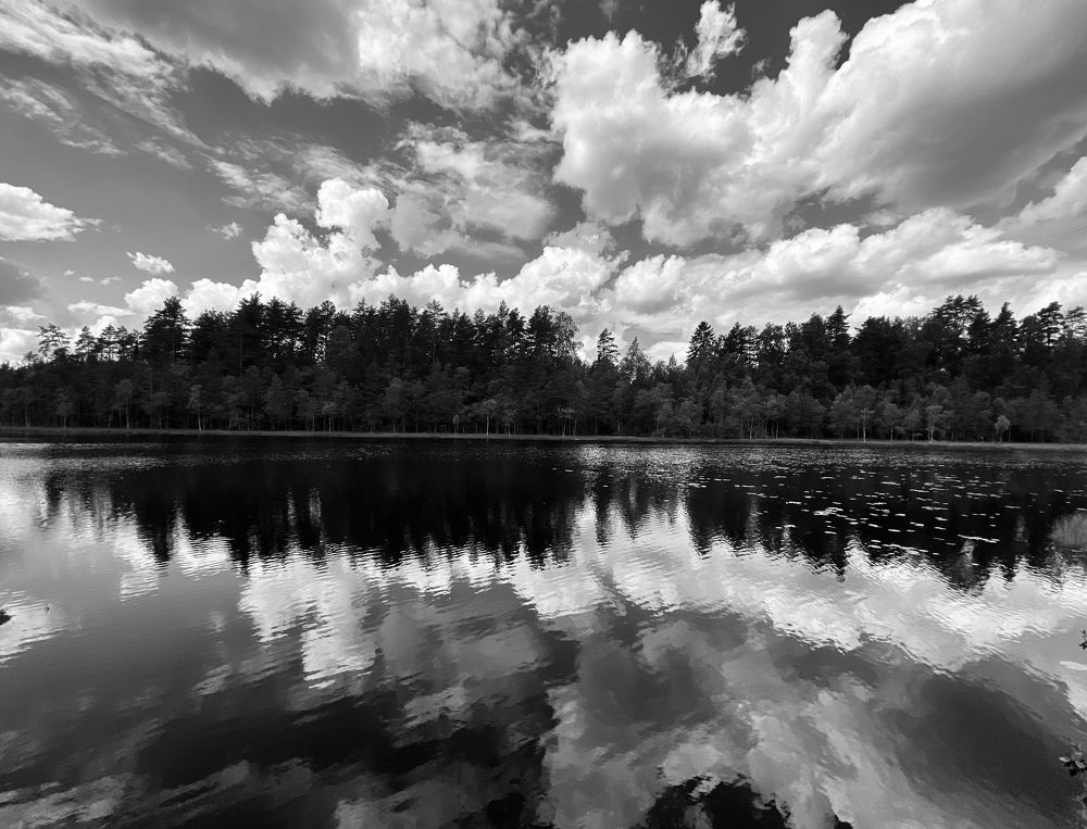 Photograph by Марина Танаева