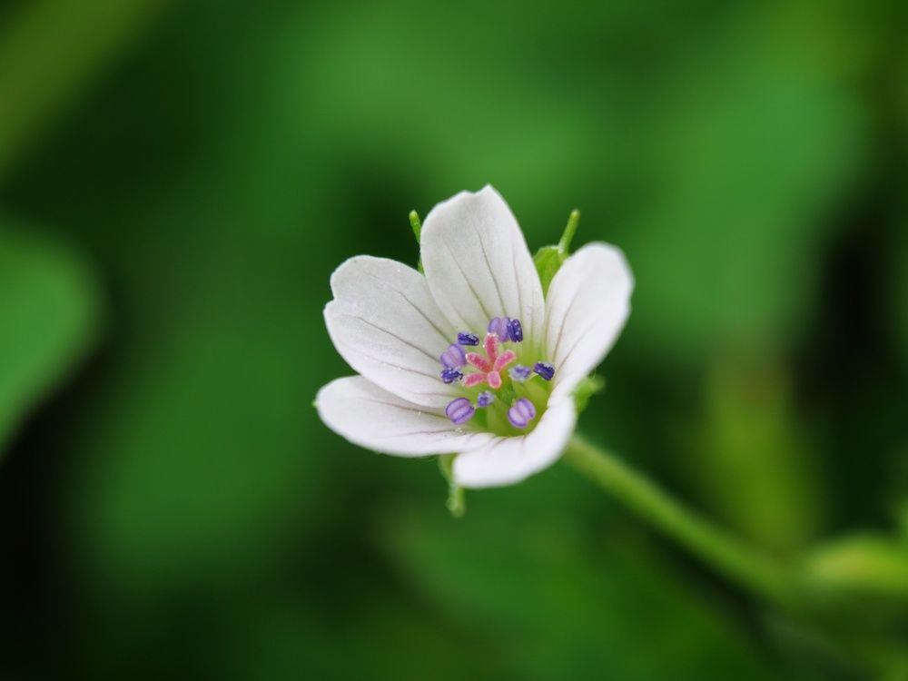 Photograph by Andrew Dorokhin