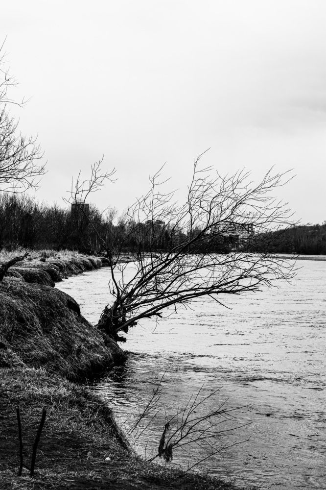 Photograph by Нежданна Казаченко