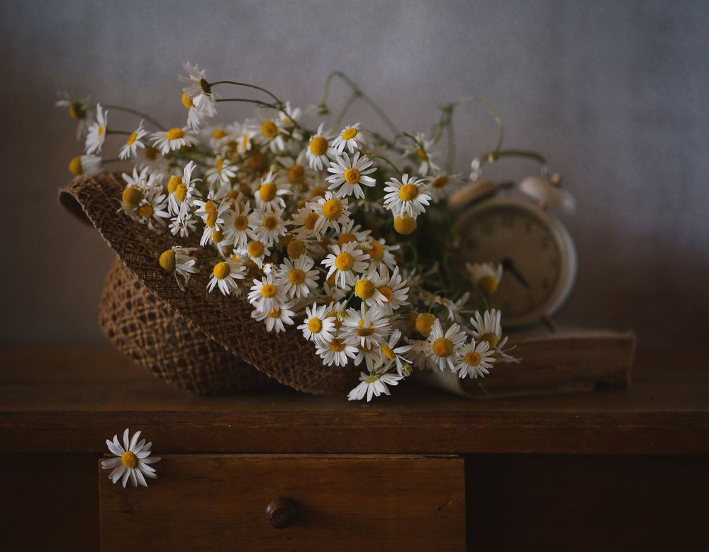 Photograph by Liliya Rodionova