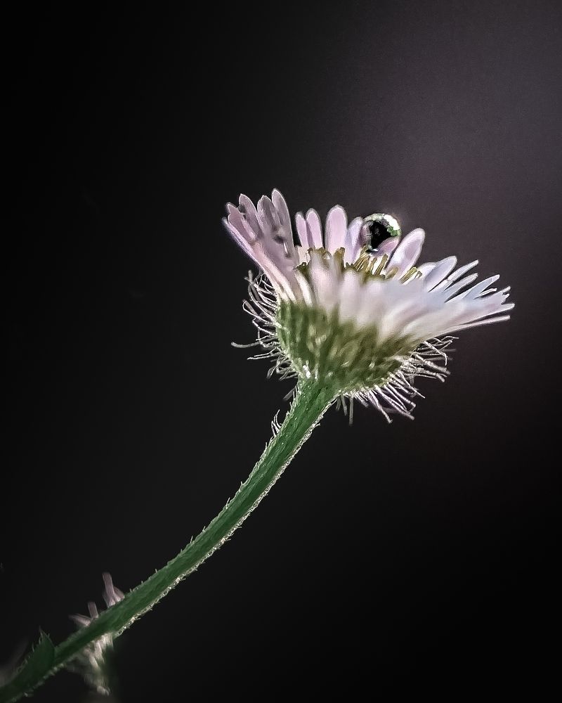 Photograph by T.Ю. Гринько