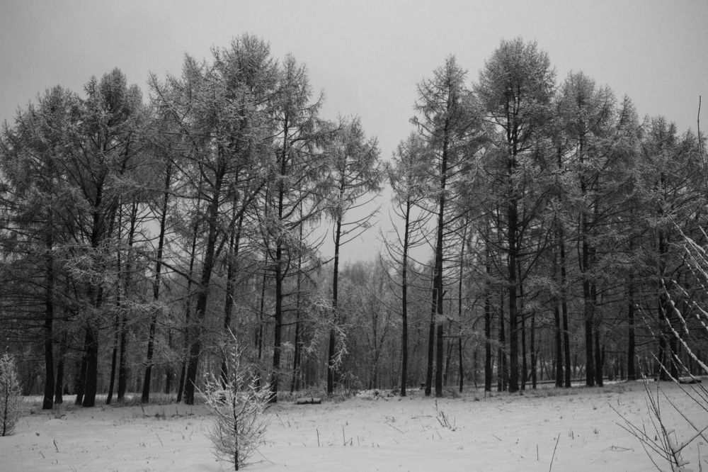 Фотография автора Елена Запертова