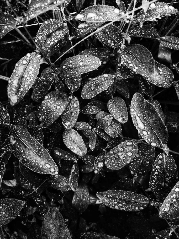 Photograph by Яна Нурмакина