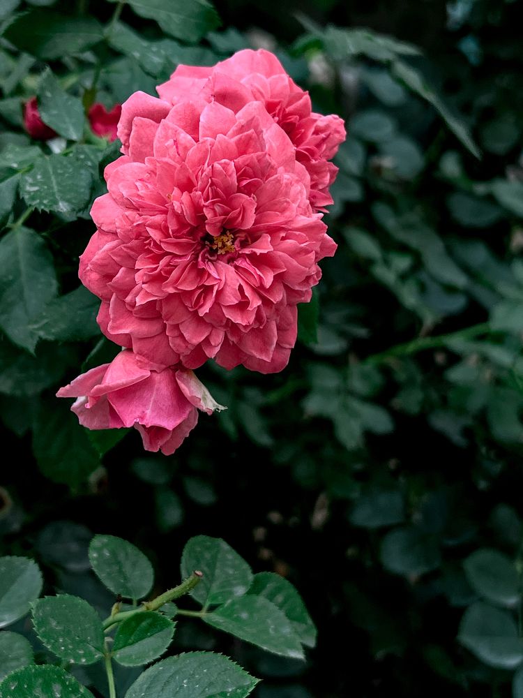 Photograph by Nazgul Mamylkanova