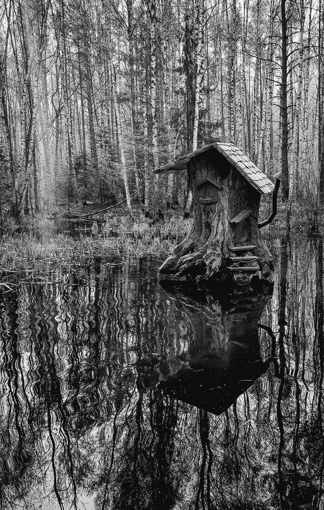 Photograph by Max Shane