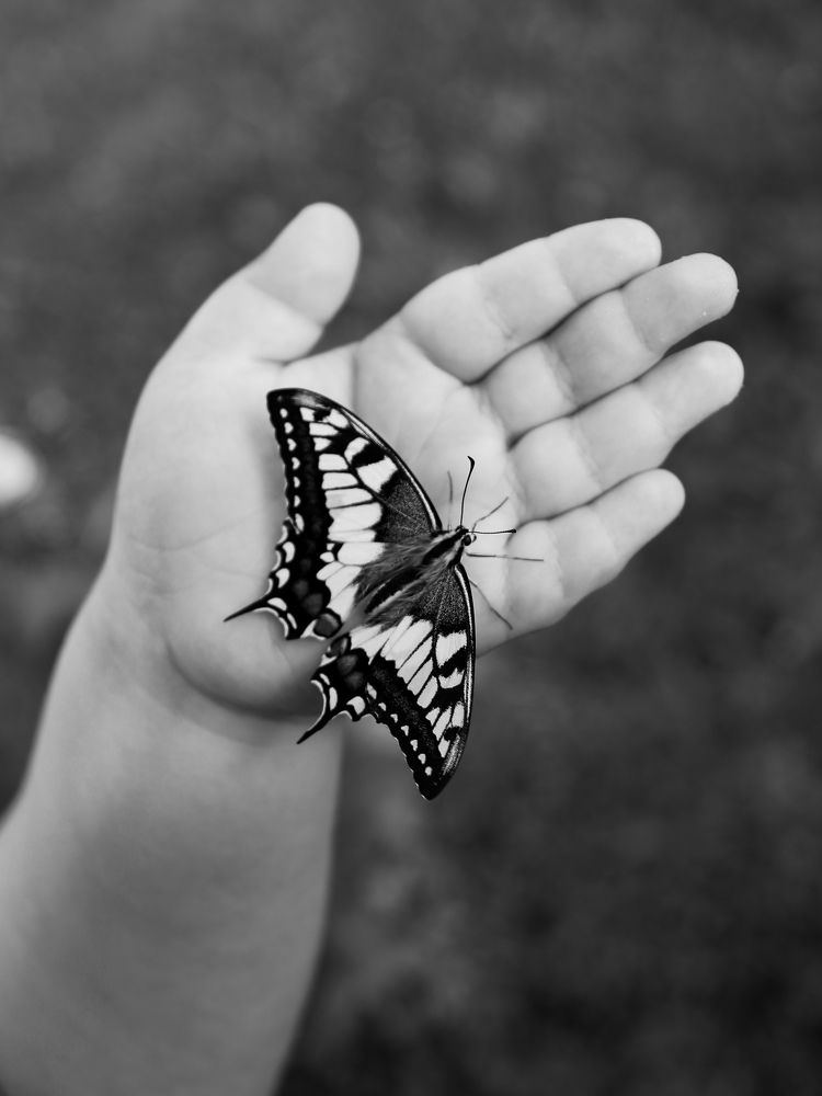 Photograph by Екатерина Слепнева