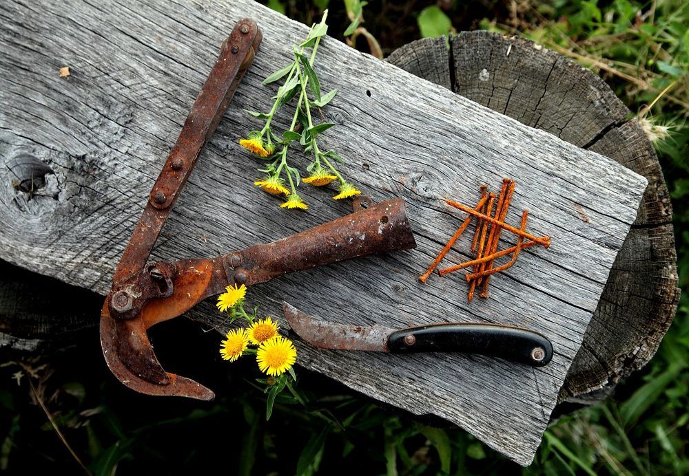 Photograph by Юрий Варюхин